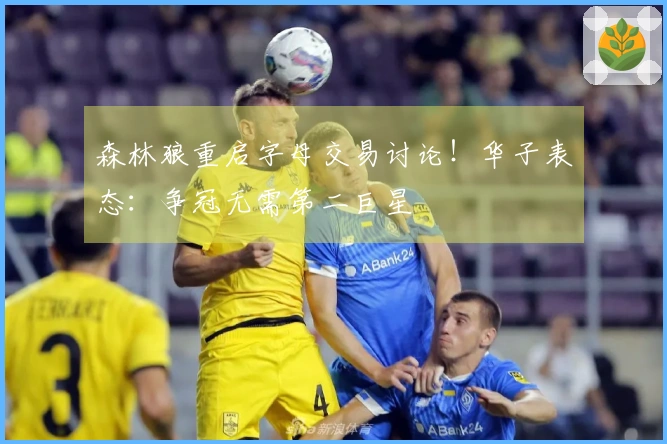 森林狼重启字母交易讨论！华子表态：争冠无需第二巨星